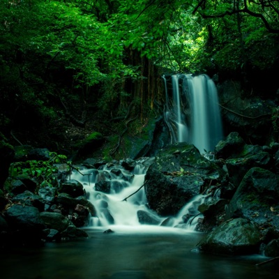 Naturaleza - EP