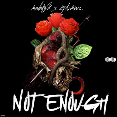Not Enough (feat. Inphamouz) - Single