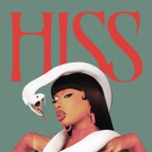 HISS (instrumental) artwork