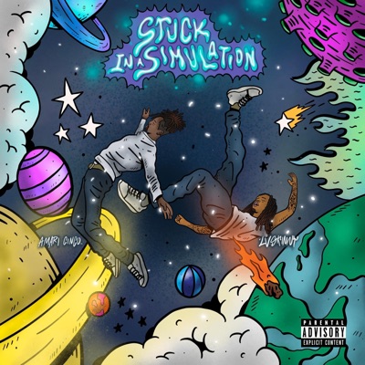 Stuck In a Simulation