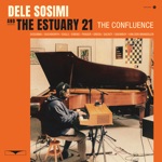 Dele Sosimi & The Estuary 21 - Ride out the Storm