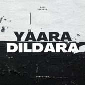 Yaara Dildara artwork