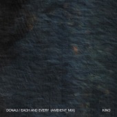 Donau (Ambient Mix) artwork