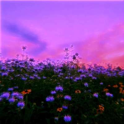 Purple (U Remix) - Single