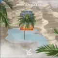 What It Feels Like