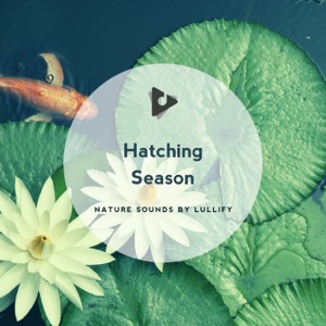 Hatching Season
