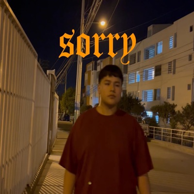 Sorry - Single