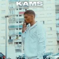Vaut Mieux Laisser Tomber - Single - Kams