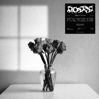 ROSES (feat. VSN Black) - Single