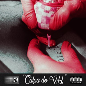 Culpa do Vh