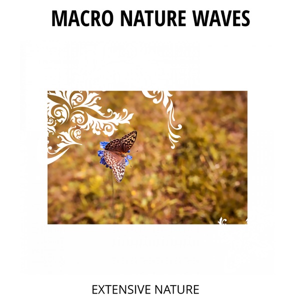 Macro Nature Waves - Extensive Nature
