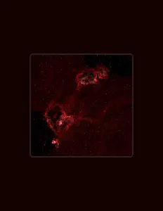 Vikko सुनें, म्यूज़िक वीडियो देखें, बायो पढ़ें, दौरे की तारीखें और बहुत कुछ देखें!