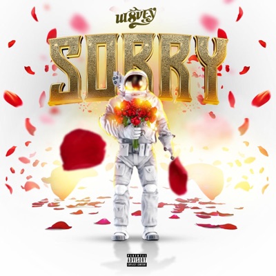 Sorry - Single