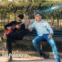 Sigue Luchando - Single