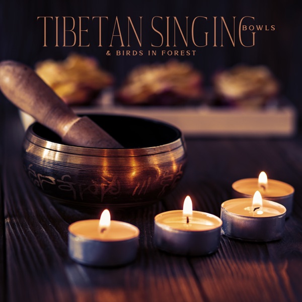 Tibetan Singing Bowls & Birds in Forest: 1 Hours Meditation Music