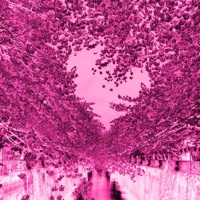 Run From You - Single - Free the Kids & Adastra