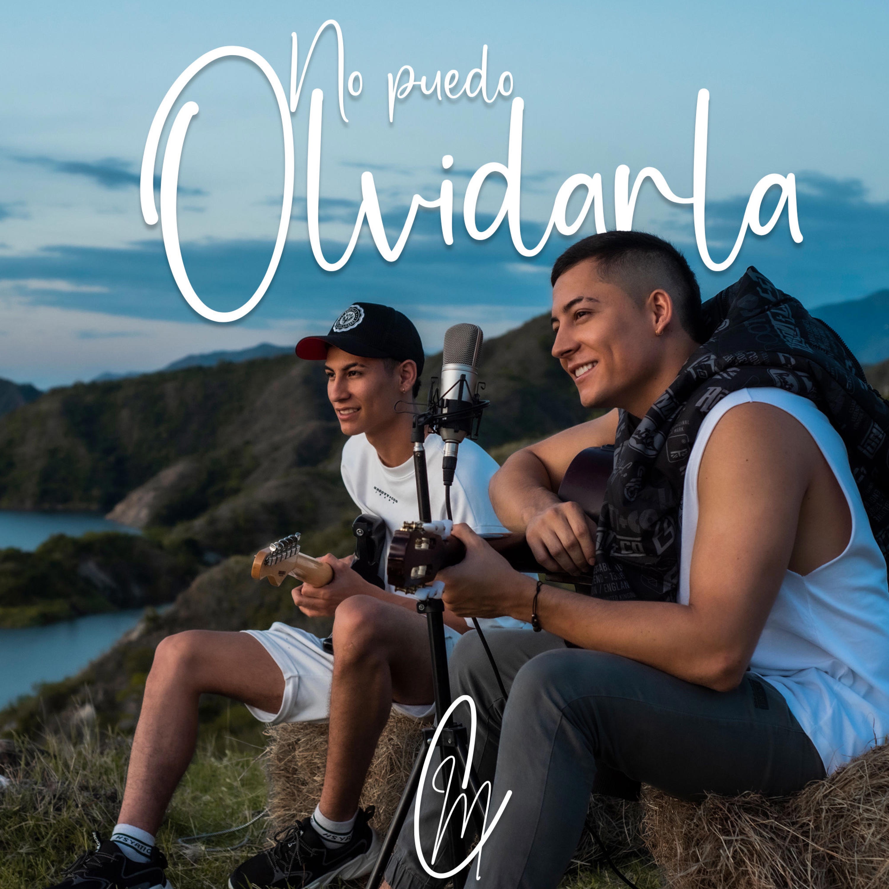 NO PUEDO OLVIDARLA - Single