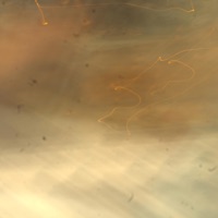 Brandon Beat (Demo) - Single - leyden