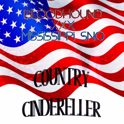 Country Cindereller (feat. Ryan Woodcock) - Single