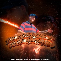 Eu Botando e Você Gemendo - Single - Duarte edit