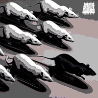 Rat Race - Single - 8radlee