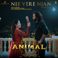 NEE VERE NJAN cover art