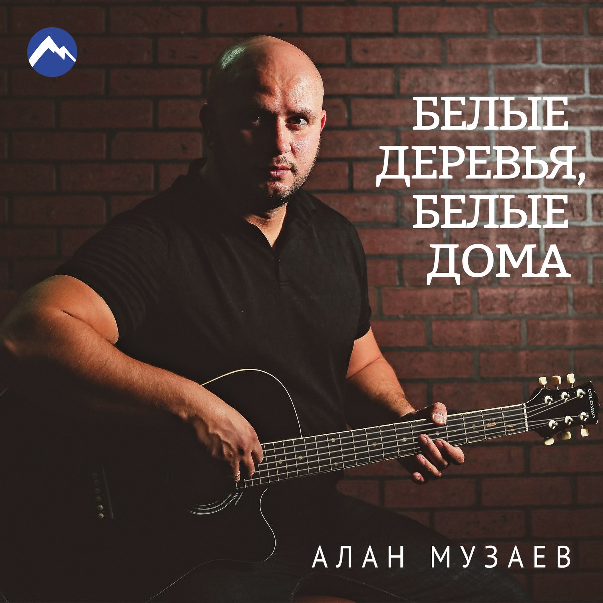 Альбом «Белые деревья, белые дома - Single» — Алан Музаев — Apple Music