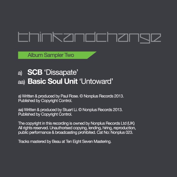 Think & Change LP (Sampler 2) - Single
