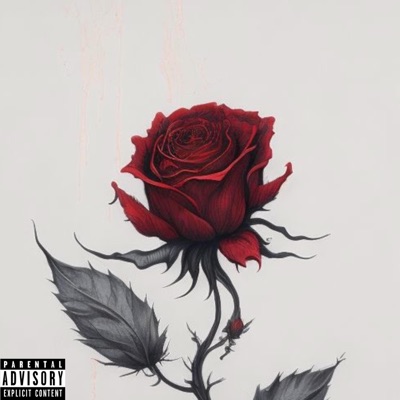 Rose - Single