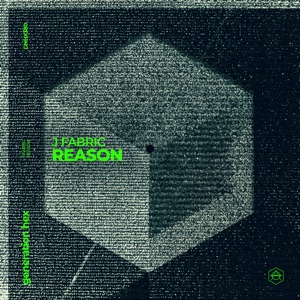 Reason (Extended Mix)