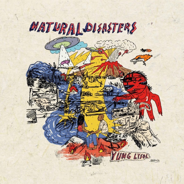 Natural Disasters - Single