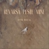 Revarsă Peste Mine - Single