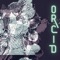 Orhid - fool proof alibi lyrics