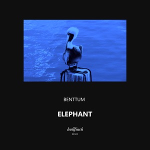 Elephant - Single