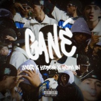 GANÉ (feat. Yerena & ANDRO GV) - Single - JOSST