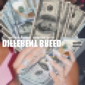 Different Breed (feat. Swae Lee & Latto) artwork