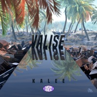 Valise (feat. Kalee) - Single - New Idea