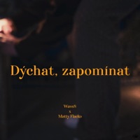 Dýchat zapomínat - Single - Wave8