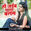 Ho Jaiba Patar Balam - Single