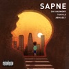 Sapne (feat. Abhijeet Raj & Toxiyls) - Single