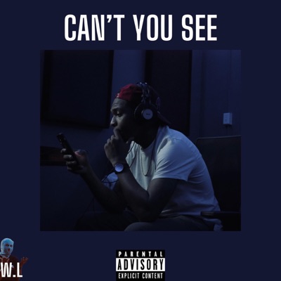 Can't You See - Single