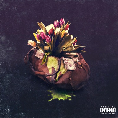 Tulips - Single