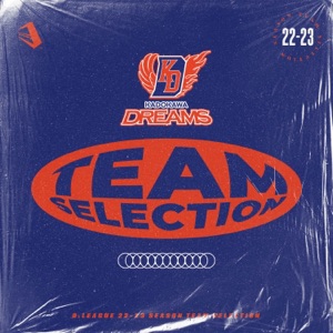 D.League 22 -23 Season - Team Selection