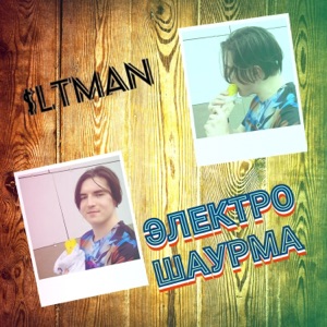 ЭЛЕКТРОШАУРМА