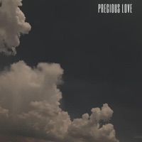 Precius Love - Single - Legoteddys