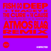 The Cure & The Cause (Atmos Blaq Extended Remix) - Fish Go Deep & Tracey K