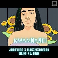 KwaMnandi (Vocal Mix) [feat. David Da Deejay & DJ Sabir] - Single - Jayda