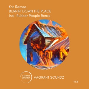 Burnin' Down the Place - Single