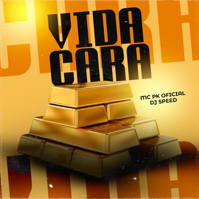 Vida Cara - Single