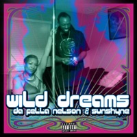 Wild Dream (feat. SunShyne) - Single - Da Fella Nelson
